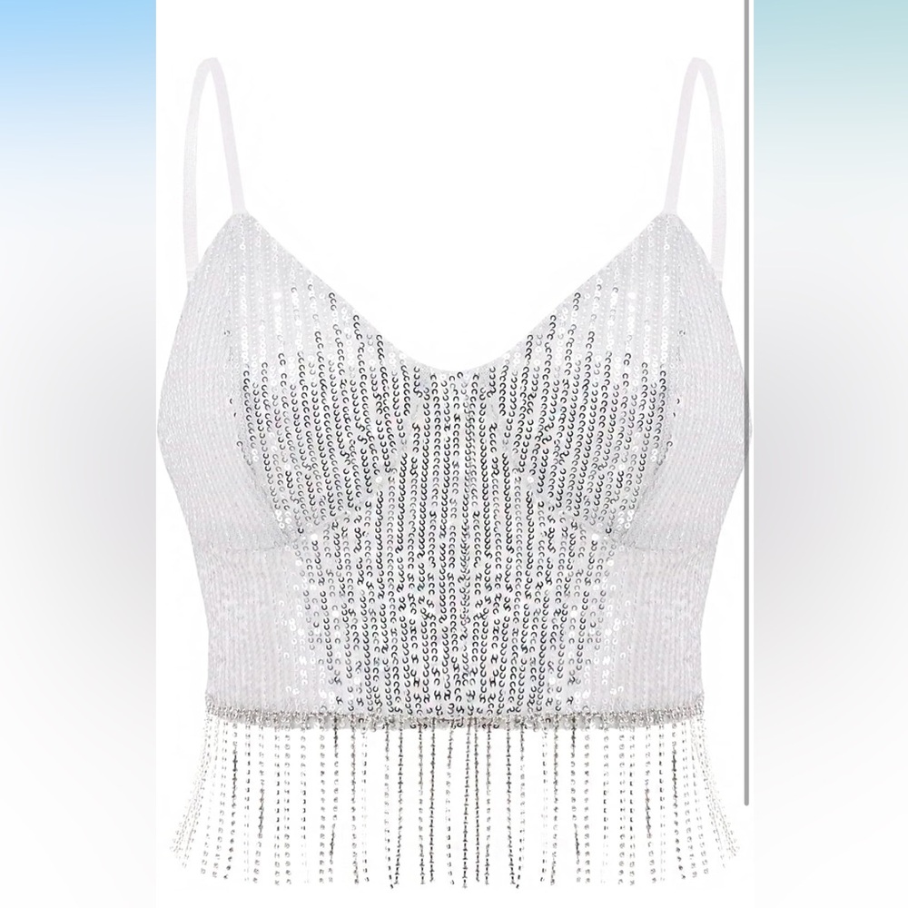 Silver Sequin Fringe Crop Top